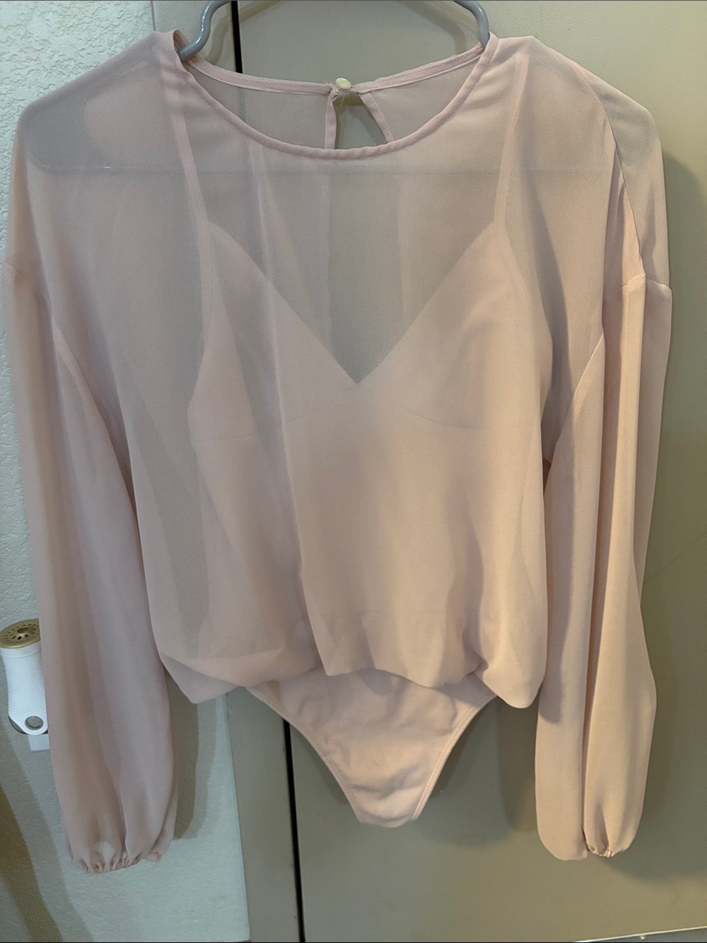 Sheer Long-Sleeve Bodysuit in Light Pink